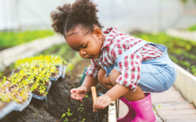 Teaching our kids to give back