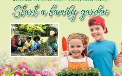 Start a family garden