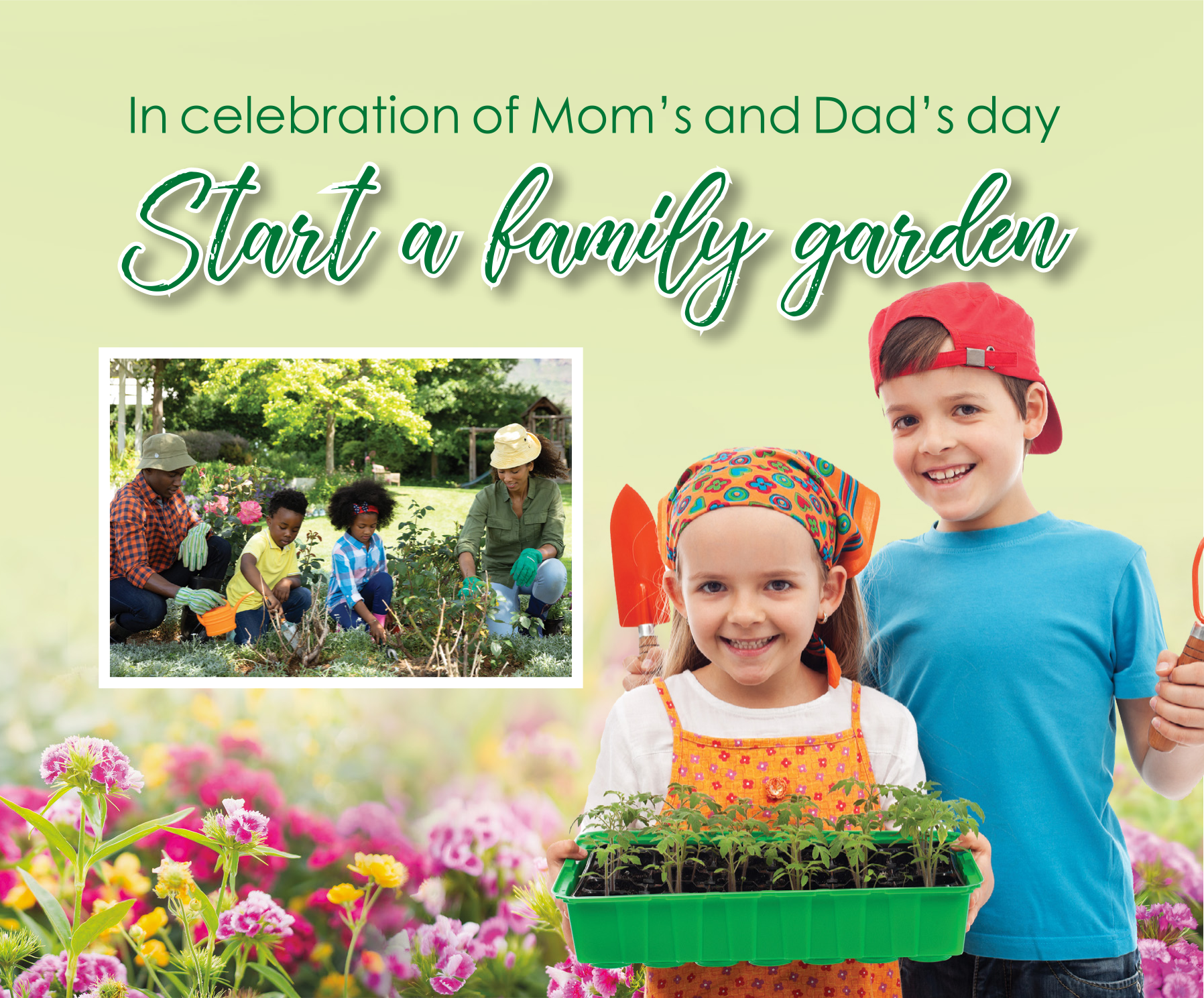 Start a family garden | Moms Notes