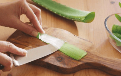Discover the natural wonder of Aloe Vera